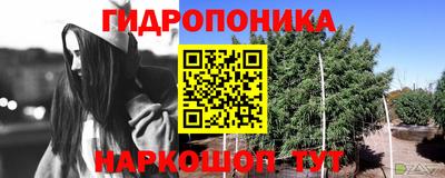 героин Кингисепп