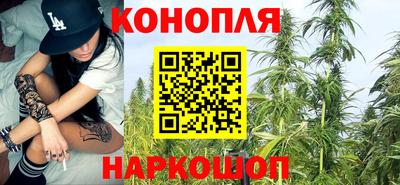 spice Кинель